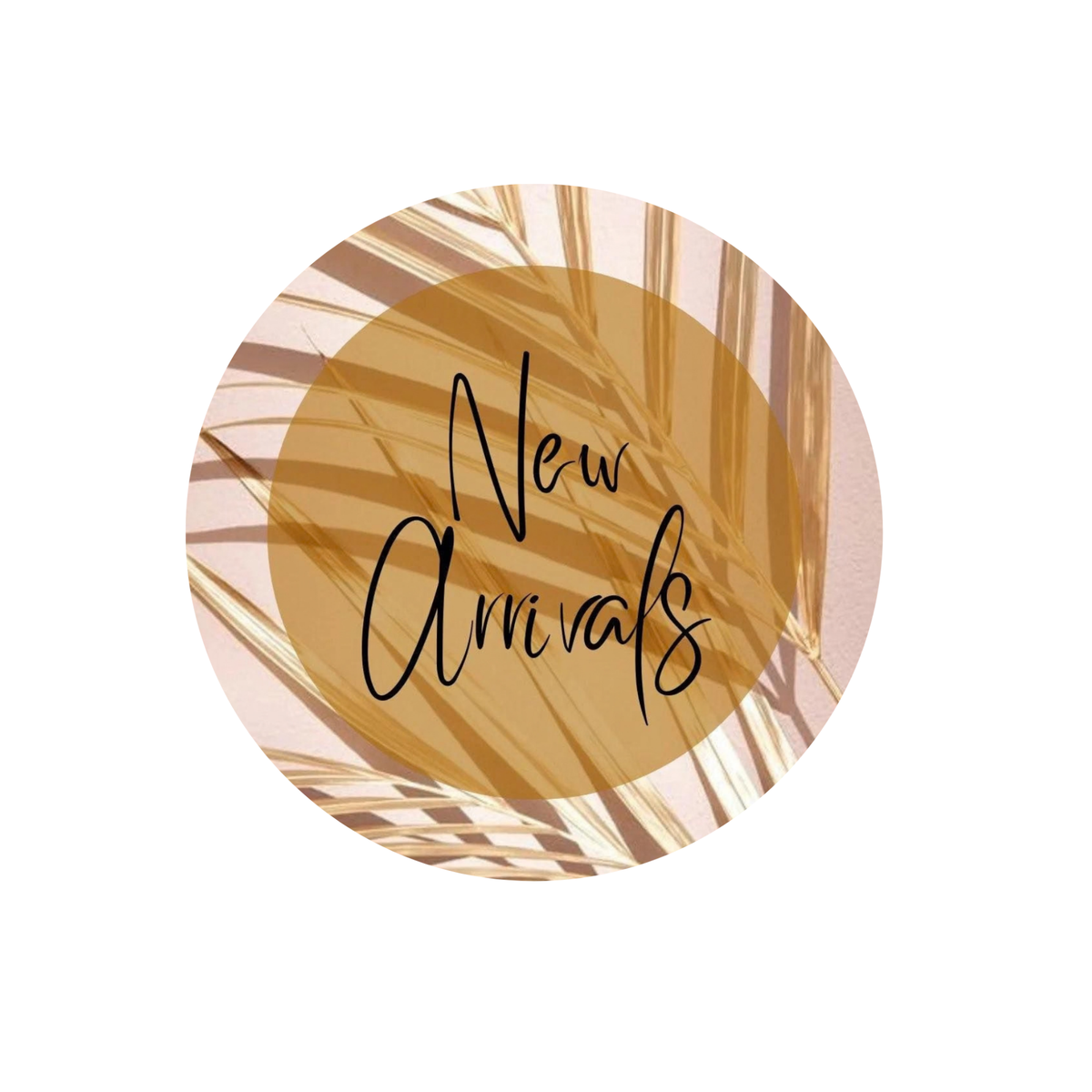 New Arrivel
